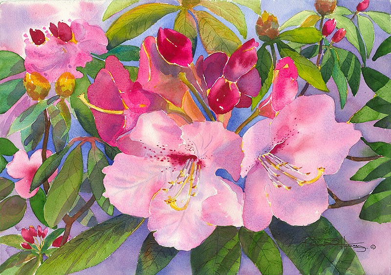 Bodacious Rhodies - 048